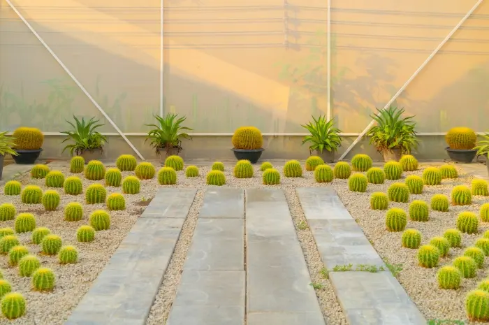 Batu Kerikil untuk Desain Taman Modern dan Minimalis