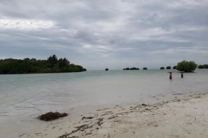 Pulau Pari, Eksotisme Pasir Putih dan Kegiatan Seru di Kepulauan Seribu