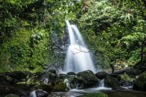 Wisata Curug Menawan di Bogor yang Memikat untuk Petualangan Anda